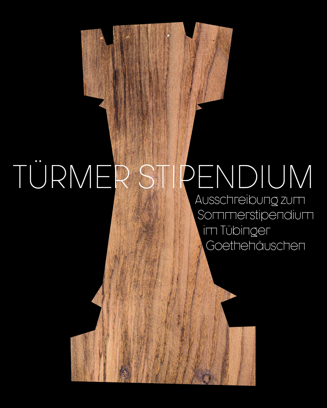 Türmer Stipendium
